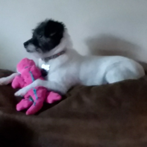 Meet your Posher, Nancy - Picture 2 of 3